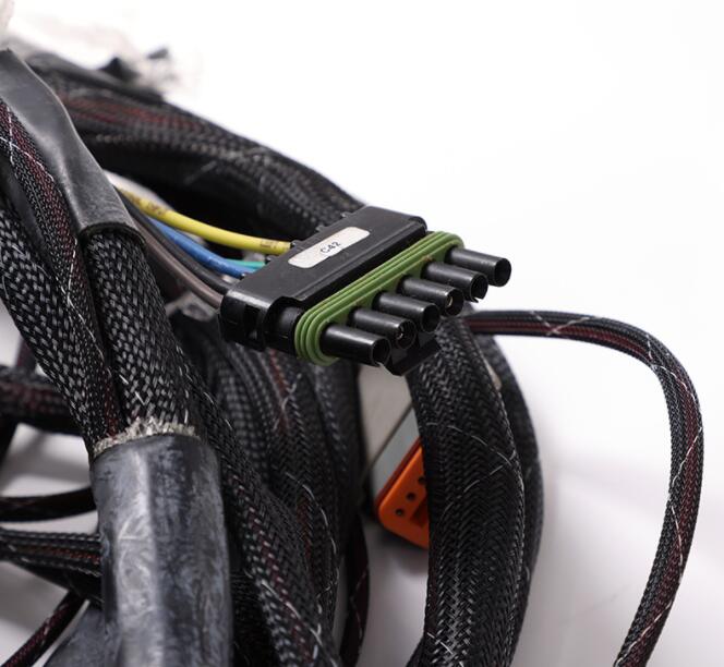 Customs ECU wiring harness for electric vehicles