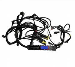 Customs cable harness for Volvo FM13 22041549