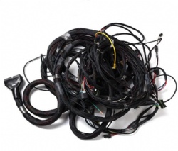 Customs ECU wiring harness for electric vehicles