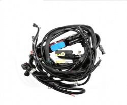 Customs wire harness for electric vehciles